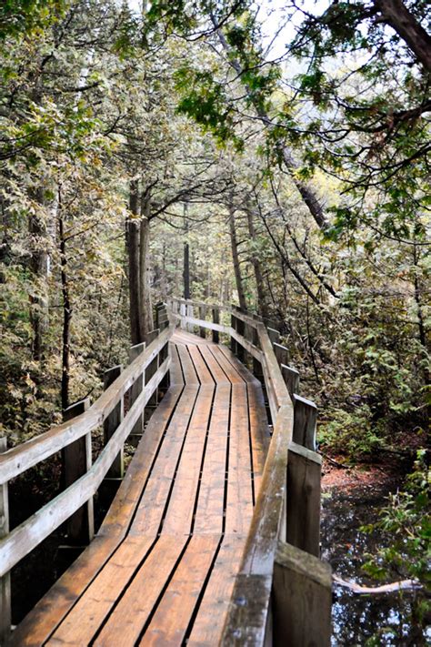 Exploring History and Hiking the Trails at Crawford Lake Conservation Area