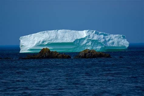 Newfoundland Icebergs