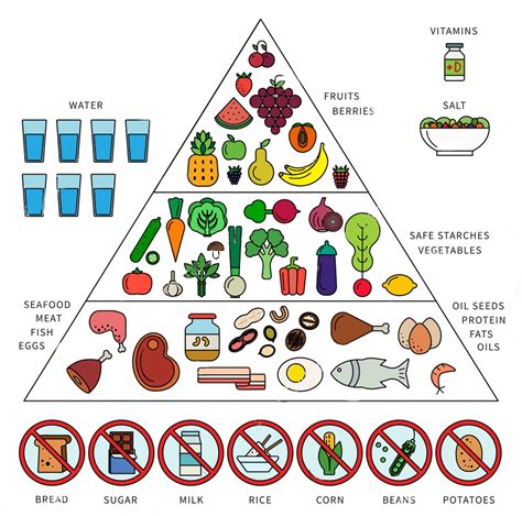 ไดเอตสไตล์ Paleo Diet กินอาหารแบบมนุษย์ยุคหิน ดีจริงหรือไม่? กินอะไรได้บ้าง