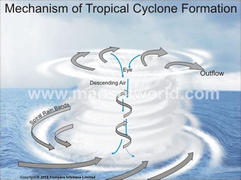 Tropical Cyclone Formation Mechanism