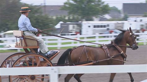 Carriage driving competition draws riders from across U.S. | WHAM