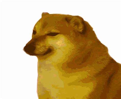 Cheems Doge GIF - Cheems Doge Dog - Discover & Share GIFs | Doge dog ...