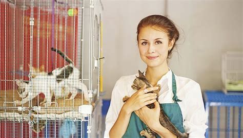 Volunteering At An Animal Shelter: The Way to Give Back