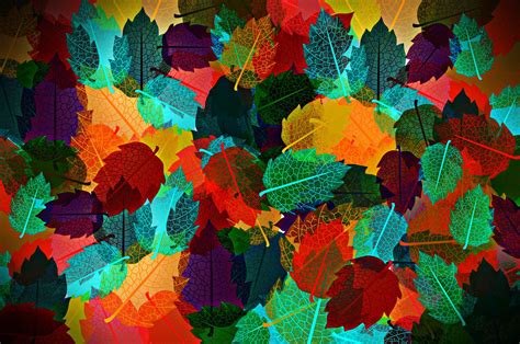 Abstract Autumn Leaves HD Wallpapers - Wallpaper Cave