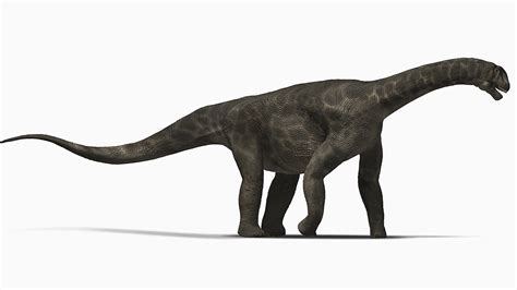 Brachiosaurus Sauropod