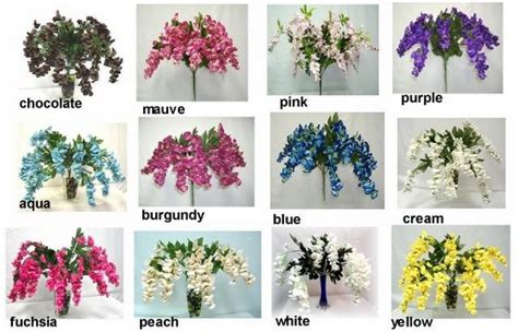 wisteria vine wisteria tree species wisteria colors how to grow ...