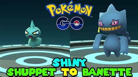 Evolving SHINY SHUPPET TO SHINY BANETTE IN POKEMON GO - POKEMON GO ...