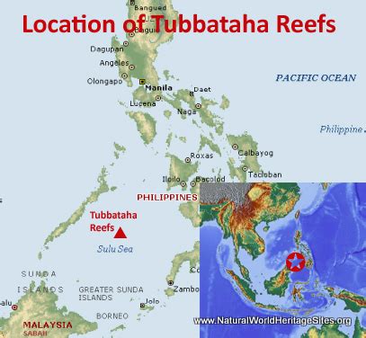 Tubbataha Reefs Natural Park | Natural World Heritage Sites