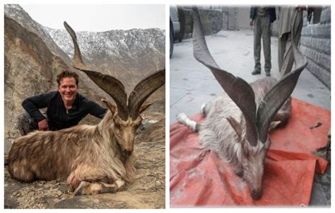 US hunter pays $110,000 to kill Pakistan’s national animal Markhor ...