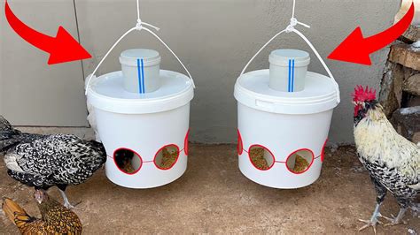 Can DIY Chicken Feeders Really Save You Money? - Sustainable Agriculture