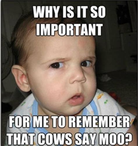 cows say moo - Dump A Day