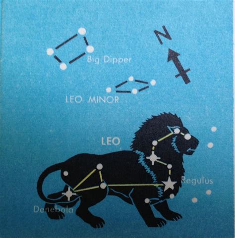 Leo constellation | Constellations, Leo constellation, Animal birthday