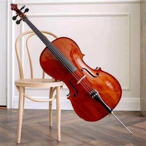 Violin Vs Cello: Which Is Right for You? - Violinspiration