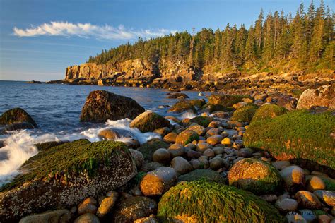 Acadia National Park, Maine: uno scenario di rara bellezza ricco di ...