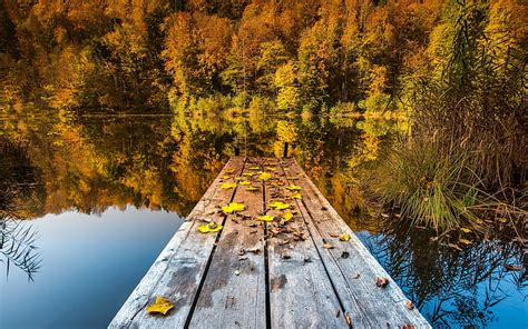 HD wallpaper: Autumn lake, woods and deciduous | Wallpaper Flare