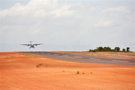 Small plane landing stock image. Image of travel, transportation - 9788885