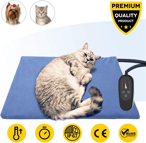 The Best Heated Cat Bed (Reviews in 2020)