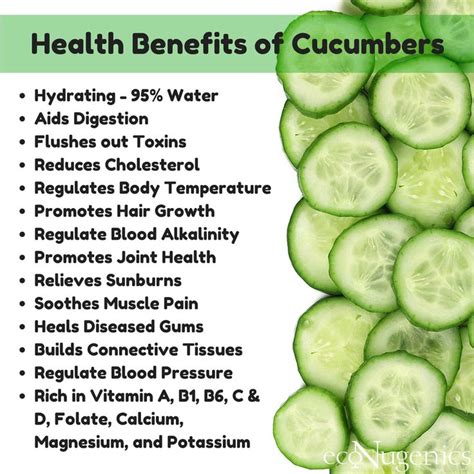 Can Dogs Eat Cucumber Skin