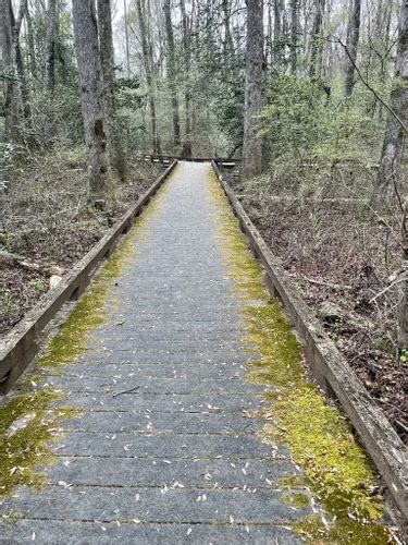 10 Best Hikes and Trails in Great Dismal Swamp National Wildlife Refuge ...