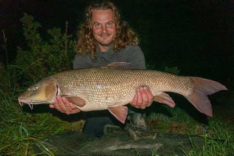 Special barbel caught from recovering river | Angling Times