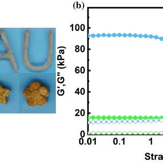 a Model of hydrogel with different shapes, b elastic modulus and ...