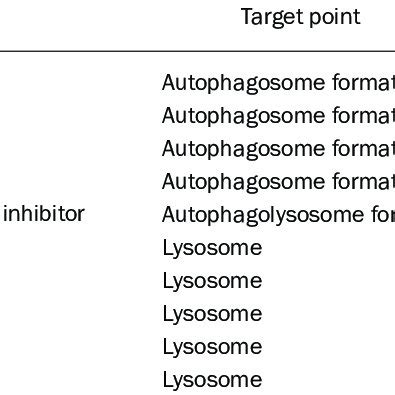 Autophagy inhibitors. | Download Table