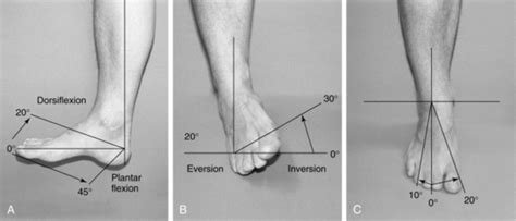 Foot and nail care | Musculoskeletal Key