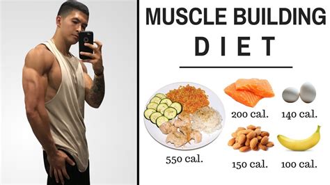 The Best Science-Based Diet to Build Lean Muscle (ALL MEALS SHOWN ...