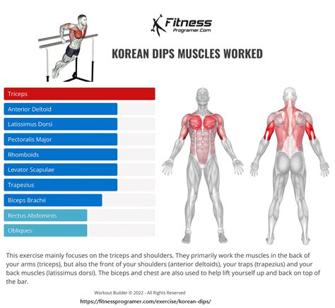 How To Do Korean Dips - Muscles Worked And Benefits