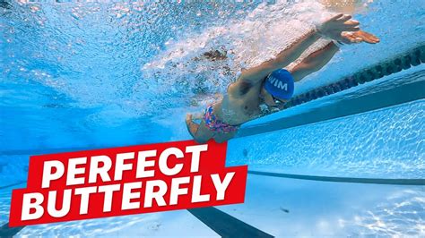 How to Swim Butterfly with Perfect Technique - YouTube