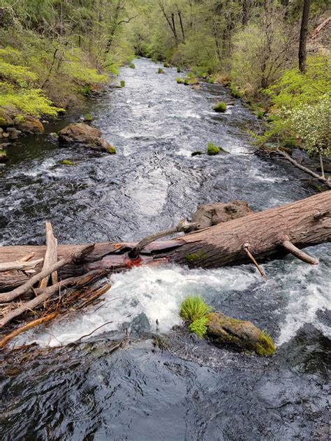 Hike Beautiful Burney Falls Trails in 2024 - CLOSURE UPDATE - Northern ...