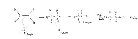 Sulfuric acid with alkene electrophilic addition. - The Student Room