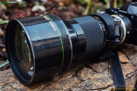 Birding with the Canon FD 300mm 2.8 Fluorite - PrimalshutterPrimalshutter