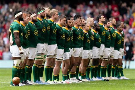 Reminder: All the Springboks' RWC 2023 fixtures, kick-off times | The ...