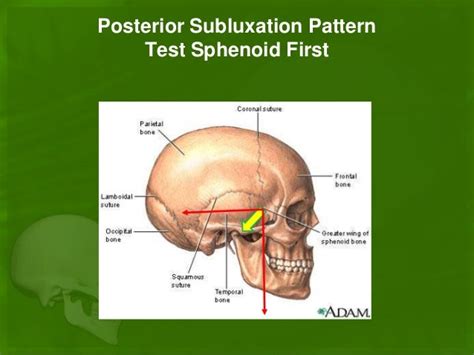 Treatment of Low Back Pain By Cranial Adjustment