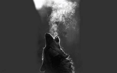 Wolf Howling Wallpapers Desktop - Wolf-Wallpapers.Pro | Desktop ...