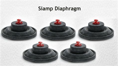 How Does A Siamp Diaphragm Work and Its Types?