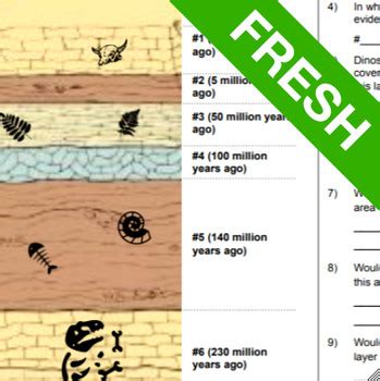 FREE Fossils and Rock Layers Worksheet (also formatted for Digital)