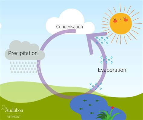 Condensation Of Water Cycle