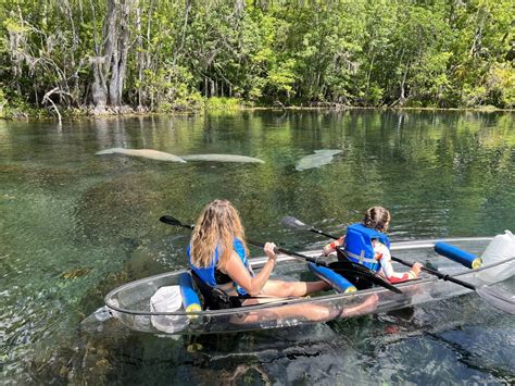 Silver Springs Kayaking Tours & Rentals, Manatee Clear Kayak Tours