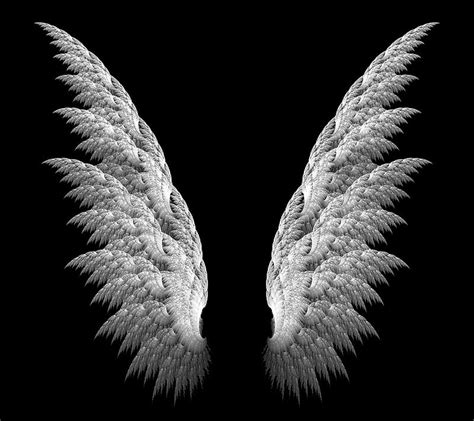 1920x1080px, 1080P free download | Angel Wings, black, white, HD ...