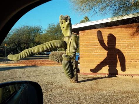 30 Hilariously Deceptive Shadows That Will Make You Look Twice ...