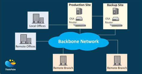 Introduction to Mainframe Networking: ThinkPalm