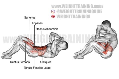 Sit-up exercise instructions and video | WeightTraining.guide in 2021 ...