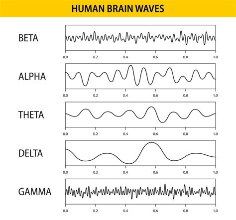 EEG Procedure