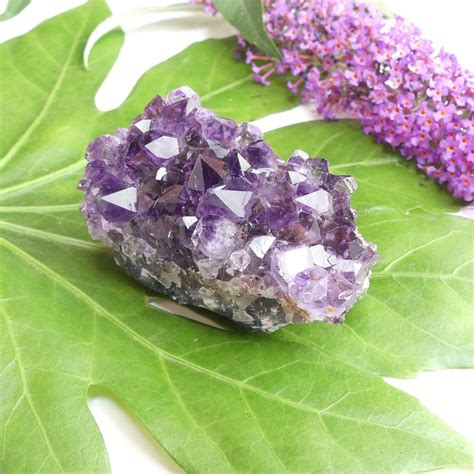 Amethyst Cluster - The Crystal Barn