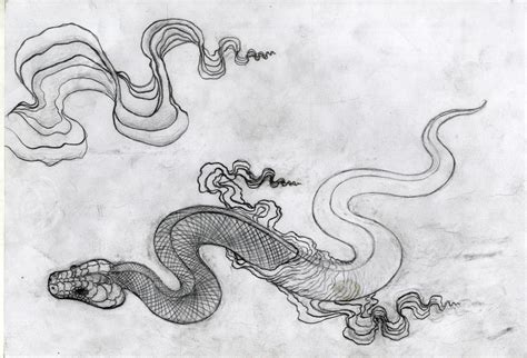 Snake Shedding Skin Drawing