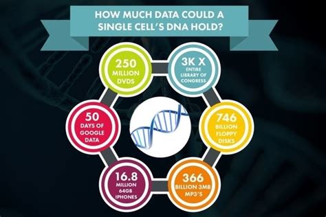 What's the Deal with DNA Data Storage?