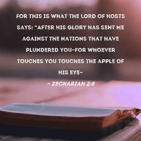 Zechariah 2:8 For this is what the LORD of Hosts says: "After His Glory ...