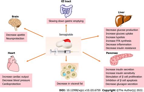 Semaglutide might be a key for breaking the vicious cycle of ...